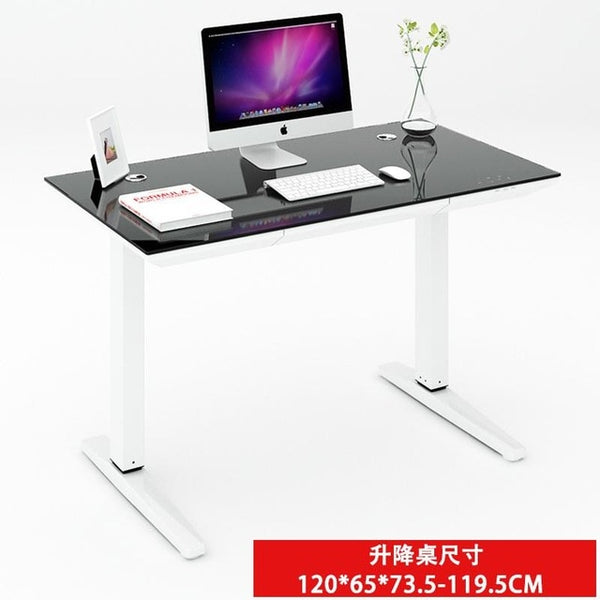 Electric Lifting Computer Desk